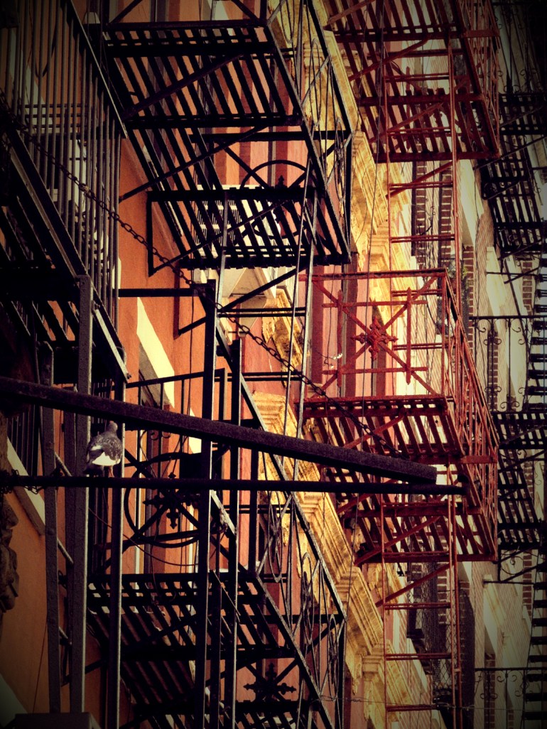 7993528631_9f0a43ab1e_ow