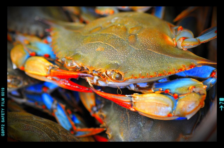 7993692508_3aaef8881a_ow