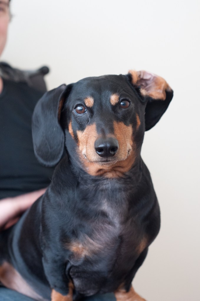 Happy to be in a lap with the rubs