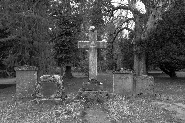 8696342442_b7b586a6d1_o-CS-W