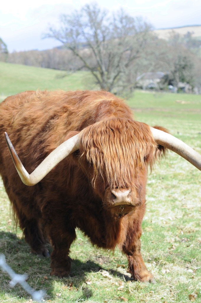 Poor guy - must be heavy, carrying around all that weight