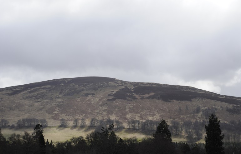 Pastoral beauty in light and shadow