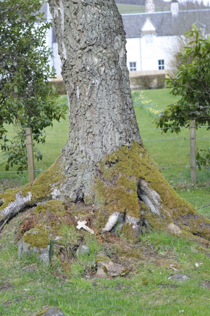 St. Bride's Kirk - I wonder how many little crosses have sat in that very same spot over the span of years