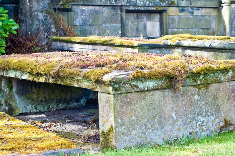 Leave it to us to spend lots of time in an old cemetery.
