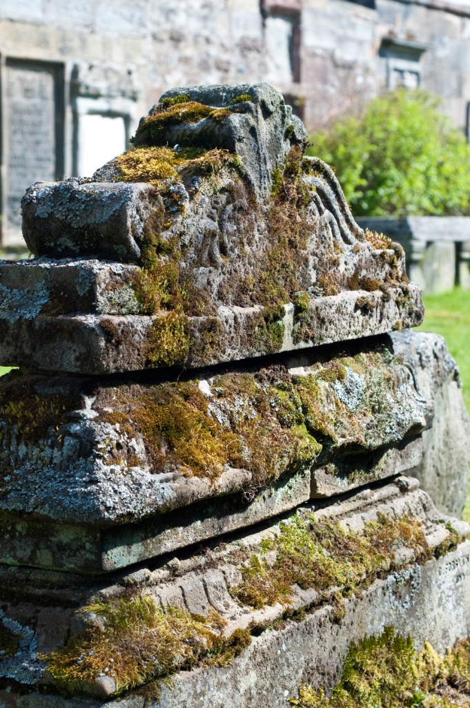 Moss takes over everything in the Highlands.