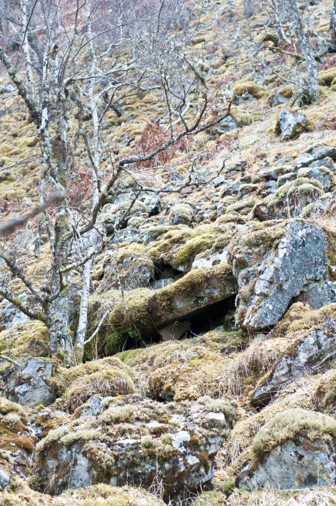 A nice place to hide