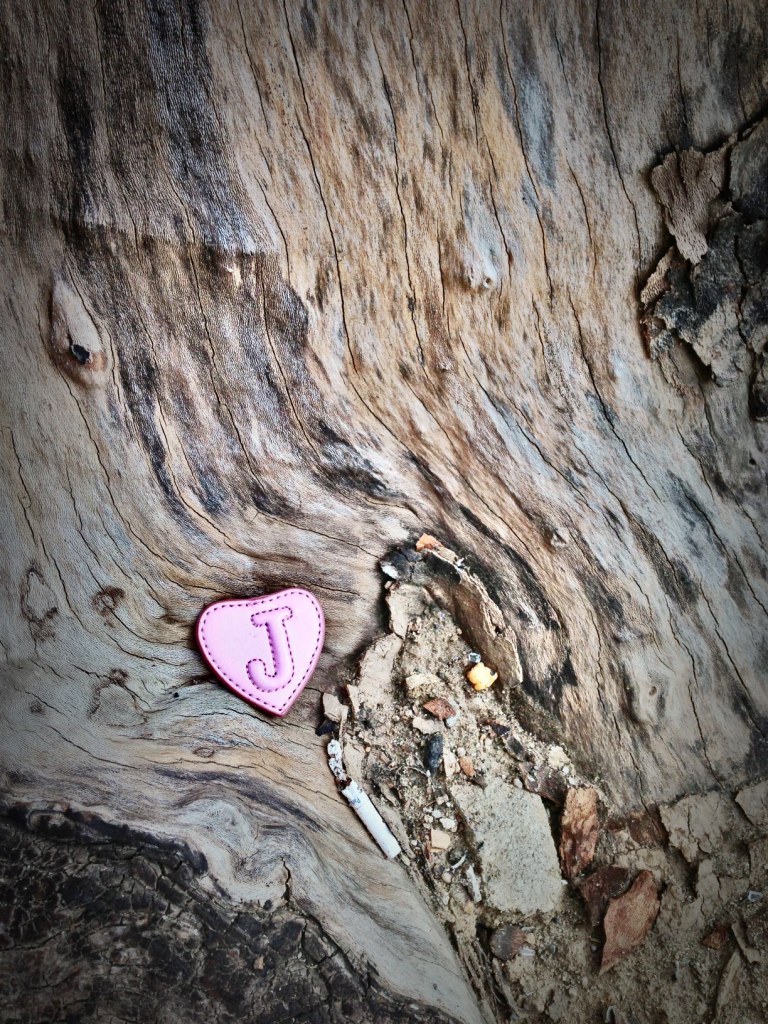 The tree in front of my building has some feelings. 