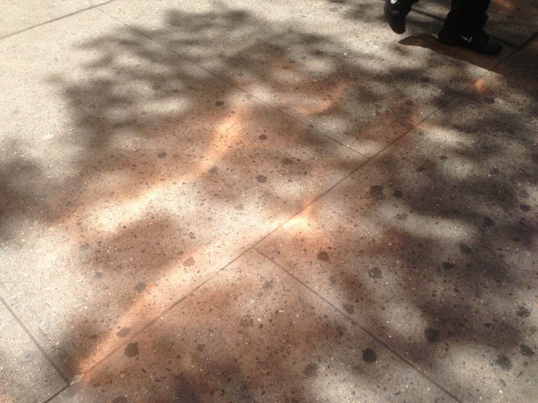 Copper reflected on the street near Union Square