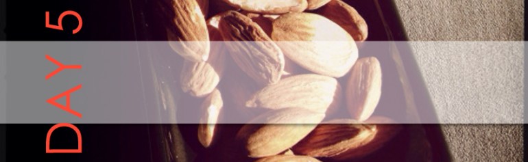 Day 5