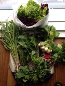 20140605-130500-47100514